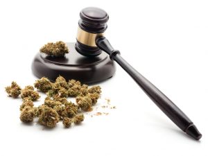 Regulation of Cannabis | dicentra.com